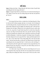 đường lối CM của Đảng CSVN