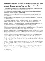 Làm thế nào để xây dựng một trường học thân thiện.