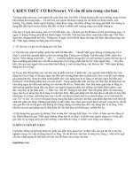 Thông tin về ngày trái đất năm 2000