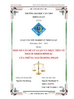 một số vấn đề lý luận và thực tiễn về trách nhiệm hình sự của những người đồng phạm