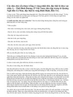 Thuyết minh về cây dừa_bài 2