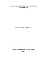 Characterization of lumpy fill in land reclamation
