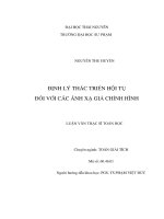 Luận văn thạc sĩ toán học định lý thác triển hội tụ đối với các ánh xạ giả chỉnh hình e