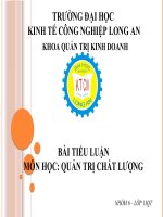 Phân tích sự thành công của công ty vinamilk trong việc sử dụng tối đa tính tiện ích và tính kinh tế