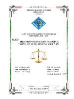 biện pháp ngăn chặn tạm giam trong tố tụng hình sự việt nam