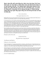 Hình ảnh con trâu gắn liền với đồng quê Việt Nam.