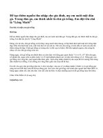 Em hãy tả một con gà trống