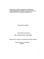 Depression, cognitive impairment and physical functional outcome and their associated factors in stroke patients in community hospital care