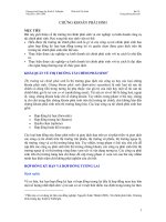 Chương trình giảng dạy kinh tế fullbright phân tích TCDN b19 CHứng khoán phái sinh