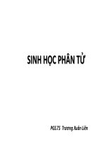 Bài giảng lý thuyết sinh học phân tử DNA replication