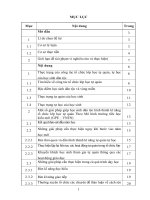 SKKN Một số giải pháp giúp học sinh dân tộc hình thành kĩ năng tổ chức lớp học tự quản, tự học theo mô hình trường tiểu học kiểu mới (VNEN)