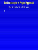 Basic concepts in project appraisal