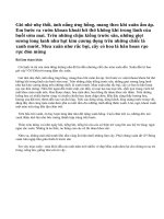 Miêu tả cảnh đẹp nơi em ở vào một mùa trong năm