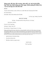 Dựa theo mẫu đơn đã học hãy viết đơn xin vào Đội Thiếu niên Tiền phong Hồ Chí Minh ( Bài 2)