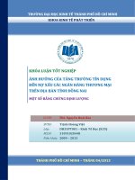 Ảnh hưởng của tăng trưởng tín dụng đến nợ xấu các ngân hàng thương mại trên địa bàn tỉnh đồng nai