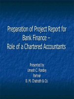 Preparation of project report for bank finance umesh pandey
