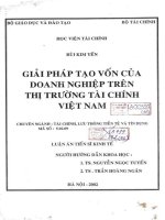 giải pháp tạo vốn của doanh nghiệp trên thị trường tài chính việt nam