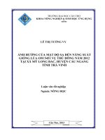 ảnh hưởng của mật độ sạ đến năng suất giống lúa om 5451 vụ thu đông năm 2012 tại xã mỹ long bắc, huyện cầu ngang tỉnh trà vinh