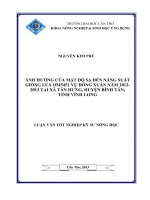 ảnh hưởng của mật độ sạ đến năng suất giống lúa om5451 vụ đông xuân năm 2012 2013 tại xã tân hưng, huyện bình tân, tỉnh vĩnh long