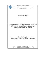 đánh giá dòng lúa sỏi x tp5 chịu mặn trên đất huyện cần đước, tỉnh long an trong điều kiện nhà lưới