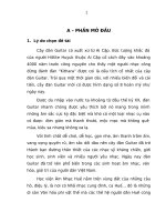 hòa tấu đàn guitar cổ điển tại học viện âm nhạc huế