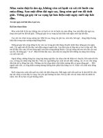 Hãy tả một ngày mới bắt đầu ở quê em