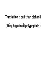 Bài giảng lý thuyết sinh học phân tử Proteine translation