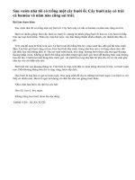 Tả cây bưởi nhà em