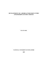 Development of a bioreactor for in vitro engineering of soft tissues