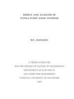 Design and analysis of type 2 fuzzy logic systems