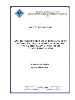 ảnh hưởng của mật độ sạ đến năng suất giống lúa om 4218 vụ hè thu năm 2013 tại xã thới xuân, huyện cờ đỏ thành phố cần thơ