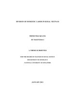 DIVISION OF DOMESTIC LABOR IN RURAL VIETNAM