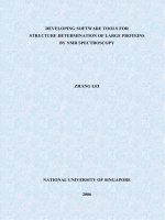 DEVELOPING SOFTWARE TOOLS FOR STRUCTURE DETERMINATION OF LARGE PROTEINS BY NMR SPECTROSCOPY