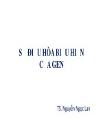 Bài giảng lý thuyết sinh học phân tử Điều hòa gen