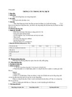 Công nghệ TRỒNG cây TRONG DUNG DỊCH 