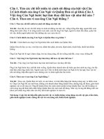 Soạn bài hội vật