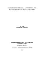 Cross border mergers  acquisitions and the legal response of host countries