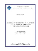 khảo sát sự sinh trưởng và phát triển của ba tổ hợp ớt kiểng ghép trên gốc ớt hiểm xanh