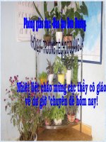 Chuyên đề Một số giải pháp khắc phục khó khăn trong dạy học môn Tự nhiên và Xã hội lớp 2 - 3 theo mô hình VNEN