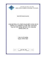 ảnh hưởng của phân đạm đến năng suất giống lúa om6976 vụ hè thu năm 2012 tại xã tân ninh, huyện tân thạnh, tỉnh long an