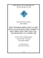 phân tích hoạt động cho vay tiêu dùng tại ngân hàng nông nghiệp và phát triển nông thôn việt nam – chi nhánh mỏ cày nam bến tre