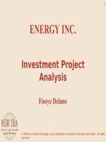 Investment project analysis