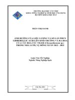 ảnh hưởng của liều lượng và số lần phun gibberellic acid lên sinh trưởng và ra hoa của cây hoa cúc tiger (chrysanthemum sp.) trong nhà lưới, vụ đông xuân 2012  2013