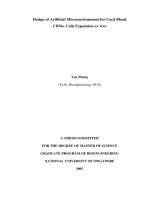 Design of artificial microenvironment for cord blood CD34+ cells expansion ex vivo