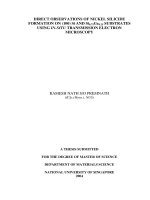 Direct observations of nickel silicide formation on (100) si and si0 75ge0 25 substrates using in situ transmission electron microscopy