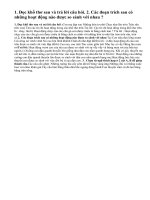 Luyện từ và câu cảnh đẹp non sông