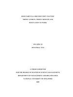 Does parental job insecurity matter money anxiety, money motives and motivation to work