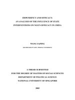 An analysis of the influence of state interventions on NGOs efficacy in china
