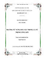trường từ vựng màu sắc trong ca từ trịnh công sơn
