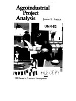 Agro industrial project analysis